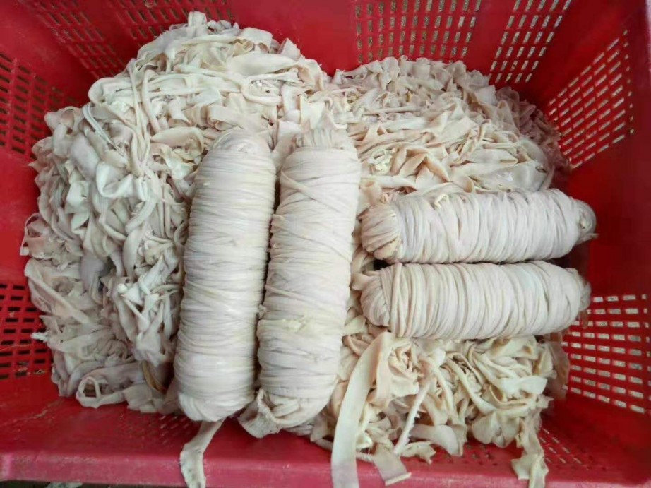 供应一级苦肠肠卷