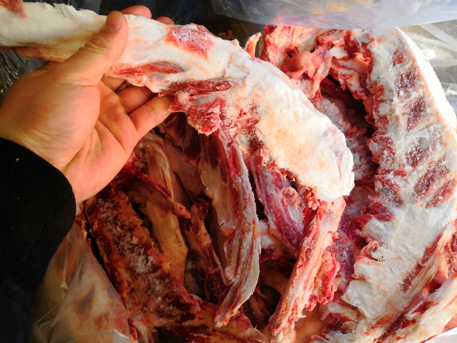 带肉羊胸骨