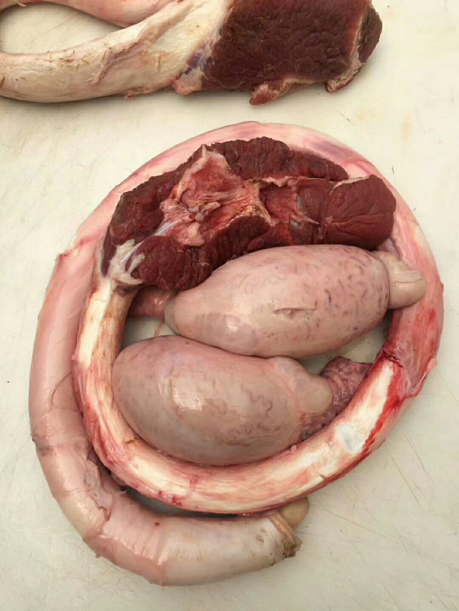 图片展示大公牛 牛鞭宝详细说明商品详情商品信息:32条认证状态:已