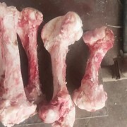 牛脊骨脖骨光排