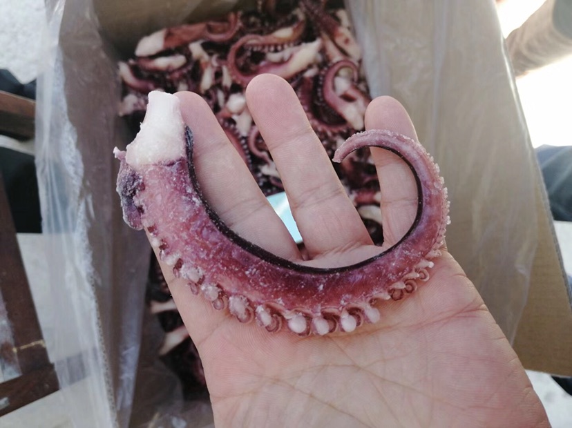 进口秘鲁脆口章鱼