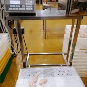 鸡翅中