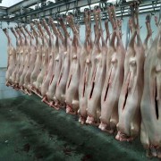羊肉类