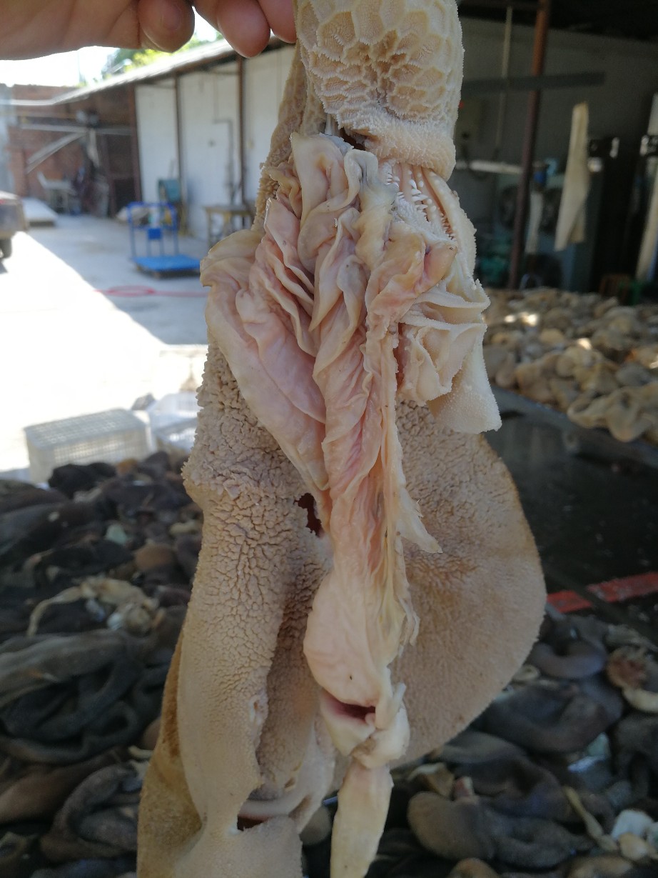 全熟纯水煮黑羊肚