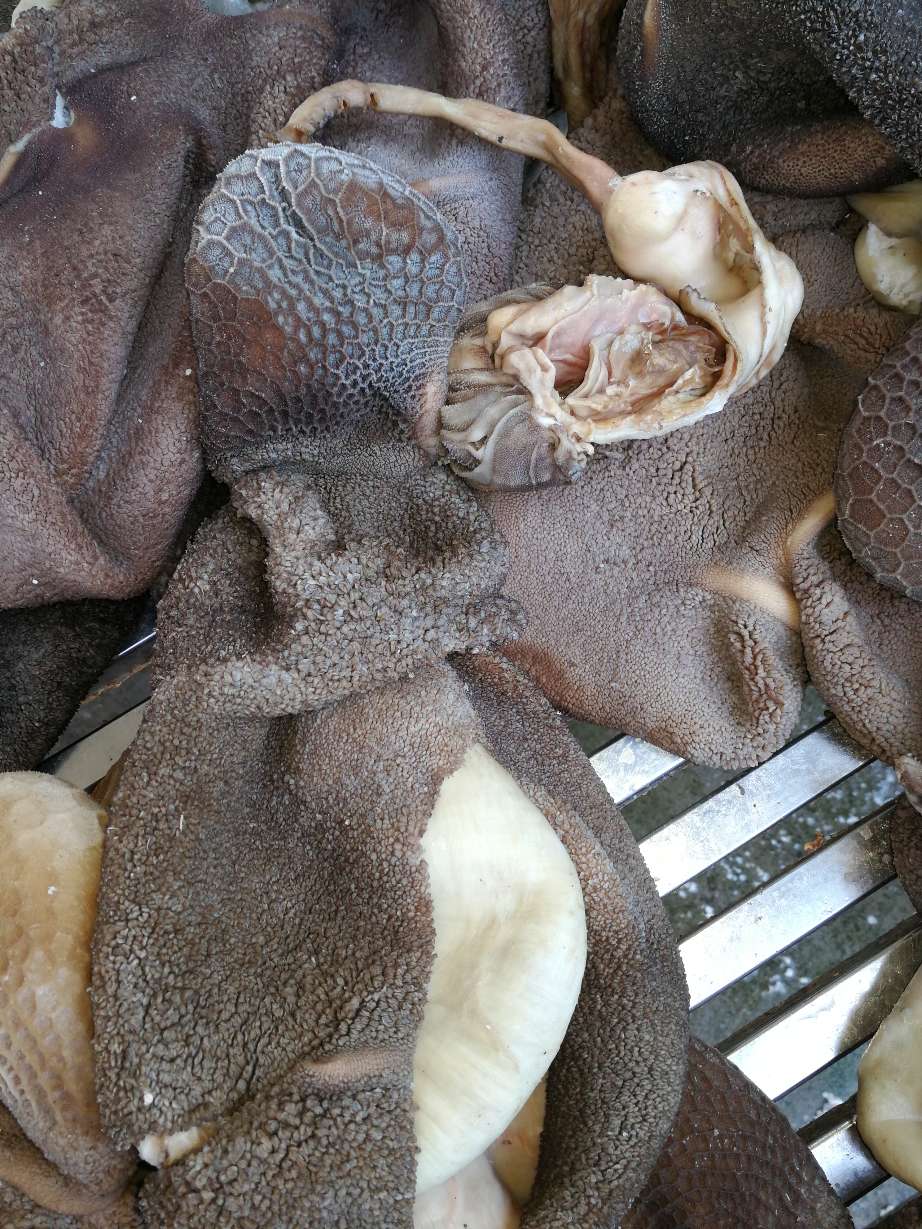 全熟纯水煮黑羊肚