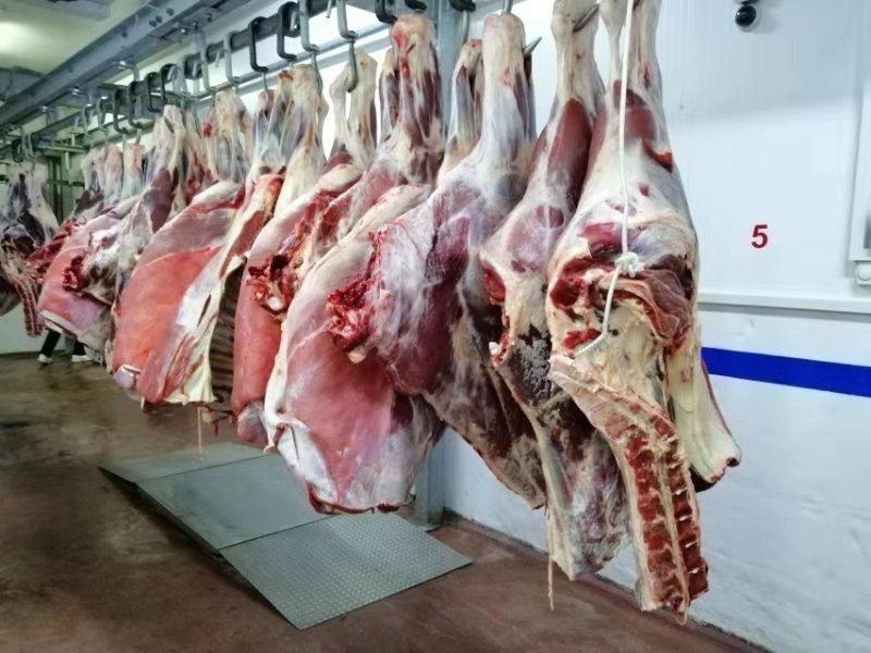 冷冻牛肉四分体