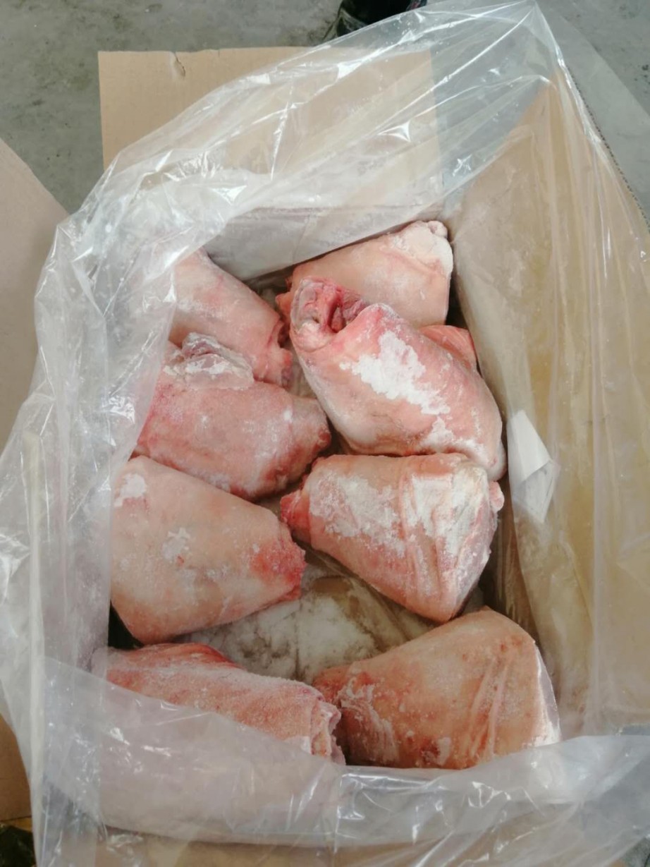 冻带骨前肘批发山西临汾市冻带骨前肘价格_肉交所