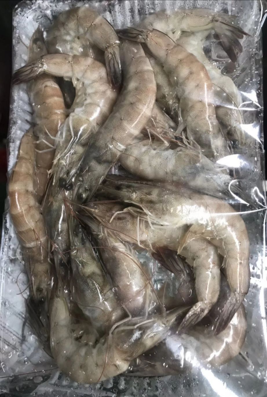 活冻南美白对虾