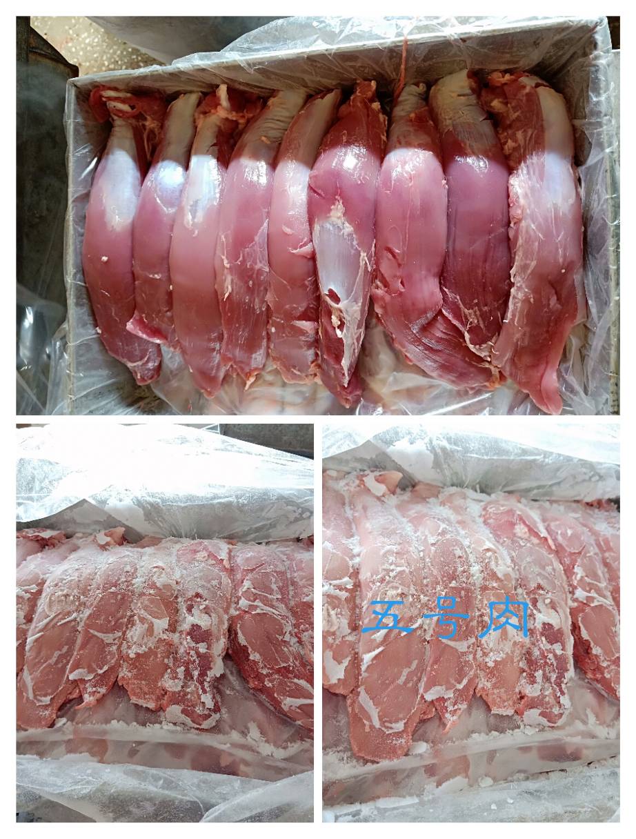 青猪五号肉