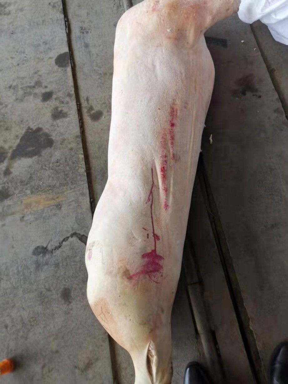 首页 供应 猪产品 猪白条 龙大肉食冻白条        分享到       价格