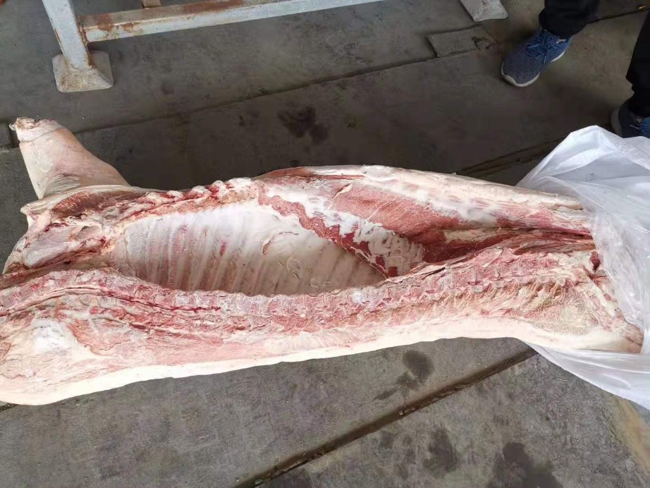 龙大肉食冻白条