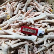 30左右中装鸡爪
