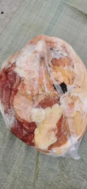 马肚子 无水批发山东德州市马肚子 无水价格_肉交所