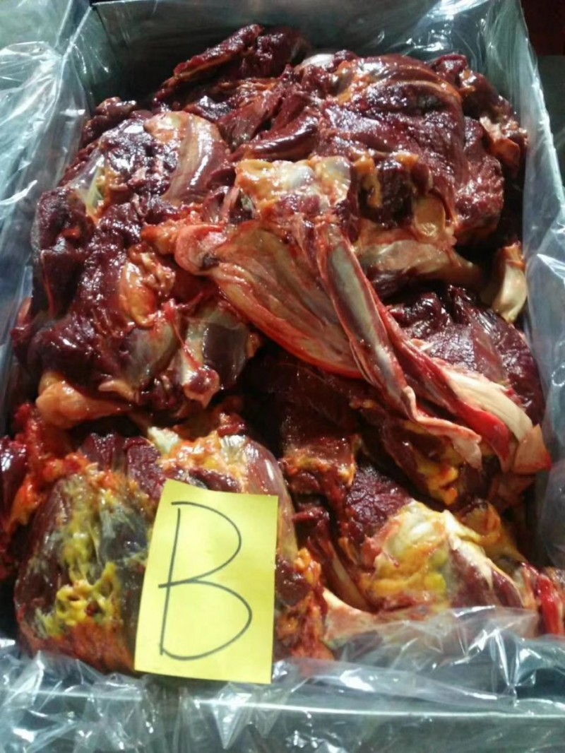 马肉带腱子前腿