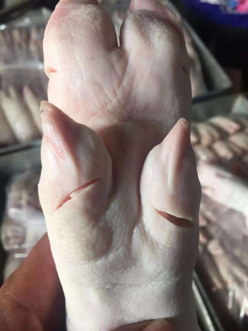 母猪蹄