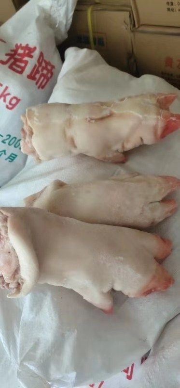 母猪蹄