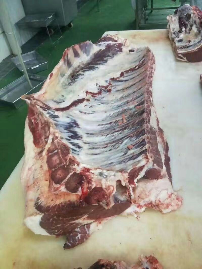 进口冻牛肉四分体