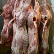 后腿肉