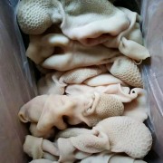 羊肚
