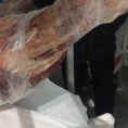哈萨克斯坦冰鲜肉