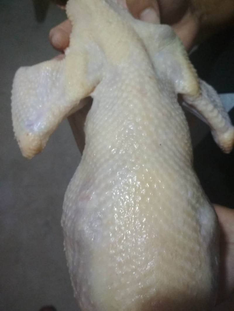 土老母鸡白条
