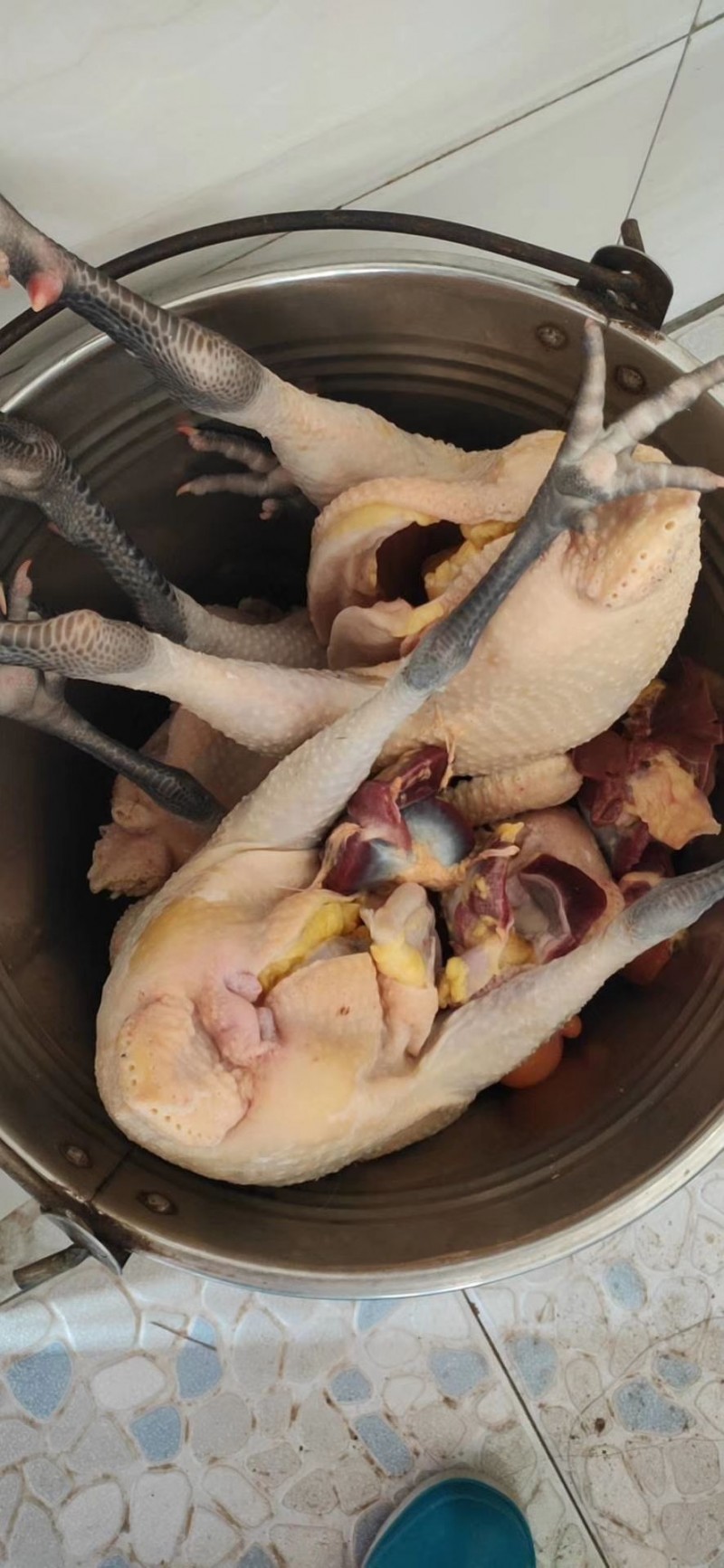 土老母鸡白条批发安徽滁州市土老母鸡白条价格_肉交所