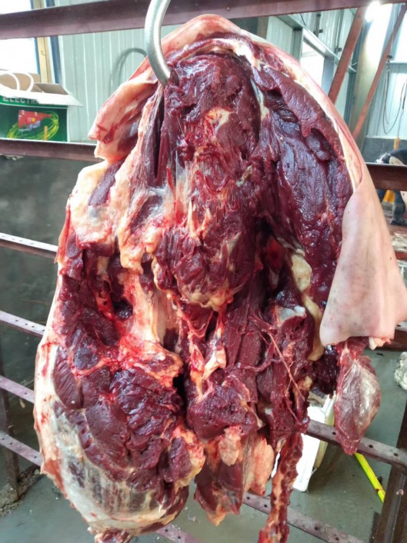 带皮鲜马肉