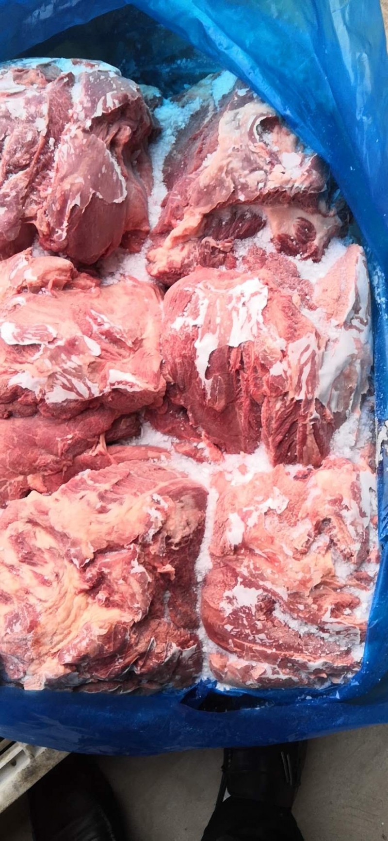 首页 供应 猪产品 猪精肉 冻猪四号肉   分享到  价格:31000元/吨