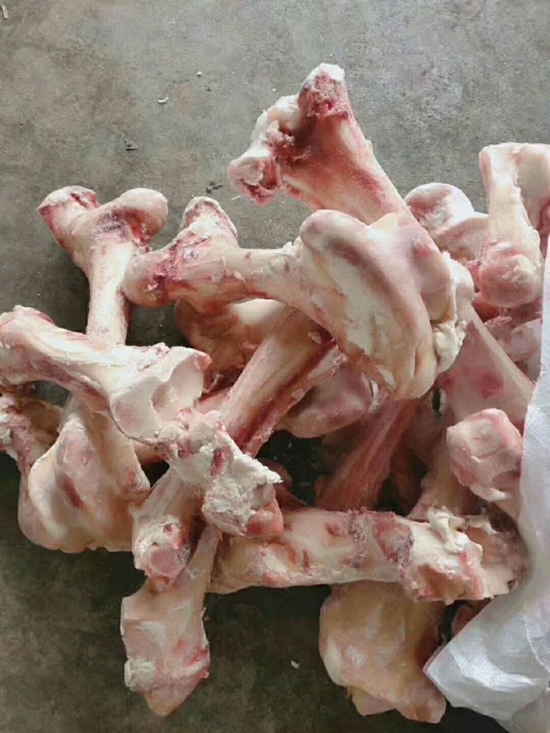 牛骨批发山东滨州市牛骨价格_肉交所
