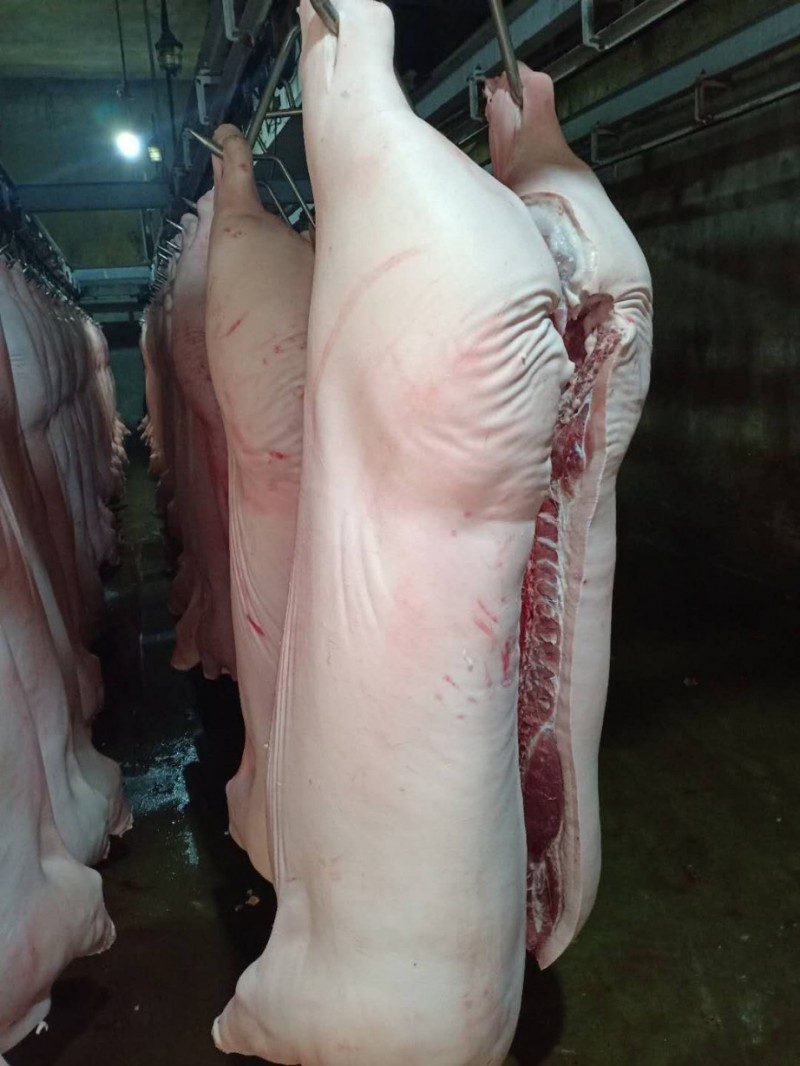 大红门肥猪白条