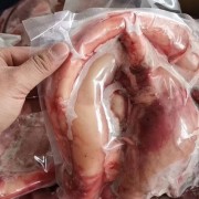 鲜冻牛鞭宝