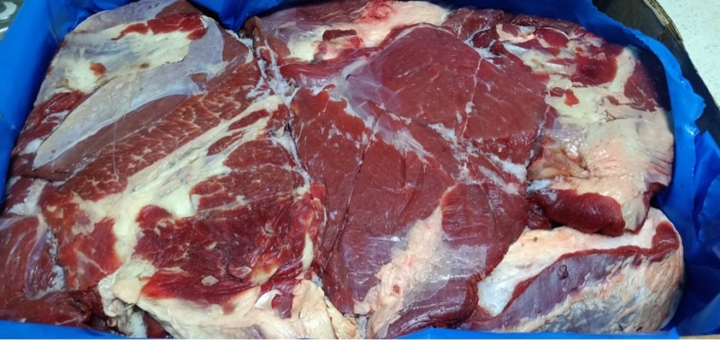 阿根廷牛四分体