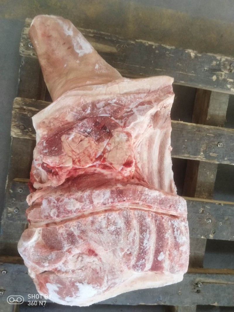 猪前段 西班牙17362厂_猪段_猪产品_商城_肉交所