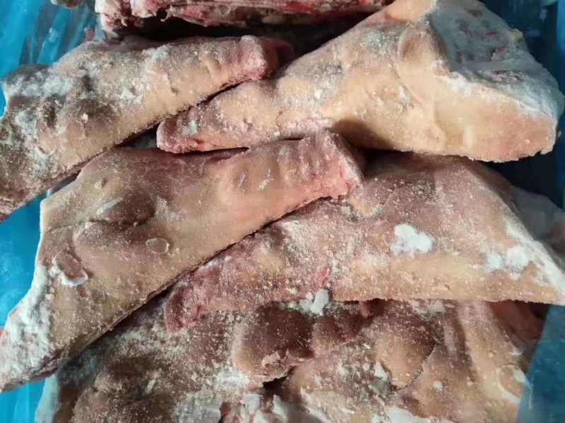 进口分割无耳猪