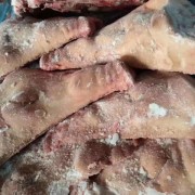 进口分割无耳猪