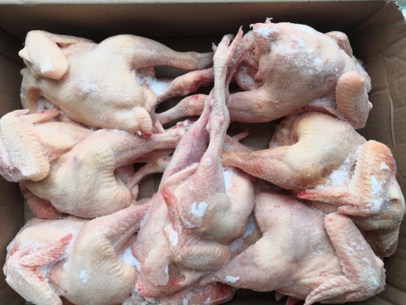 优质红毛老母鸡