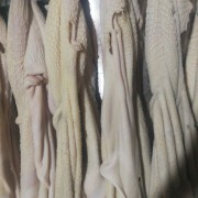 黄牛肚