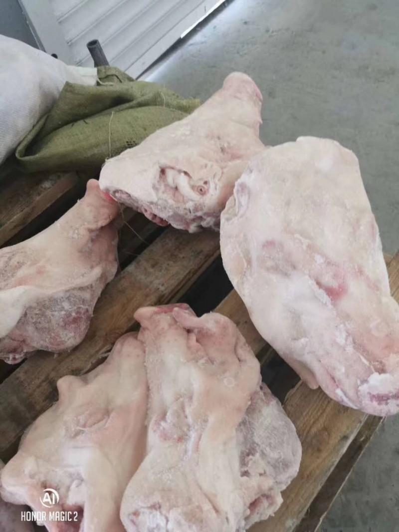 肥猪无耳头批发山东临沂市肥猪无耳头价格_肉交所