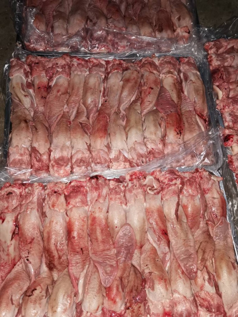 首页 供应 猪产品 猪耳口条 青猪口条,鲜冻   分享到  价格:28000元