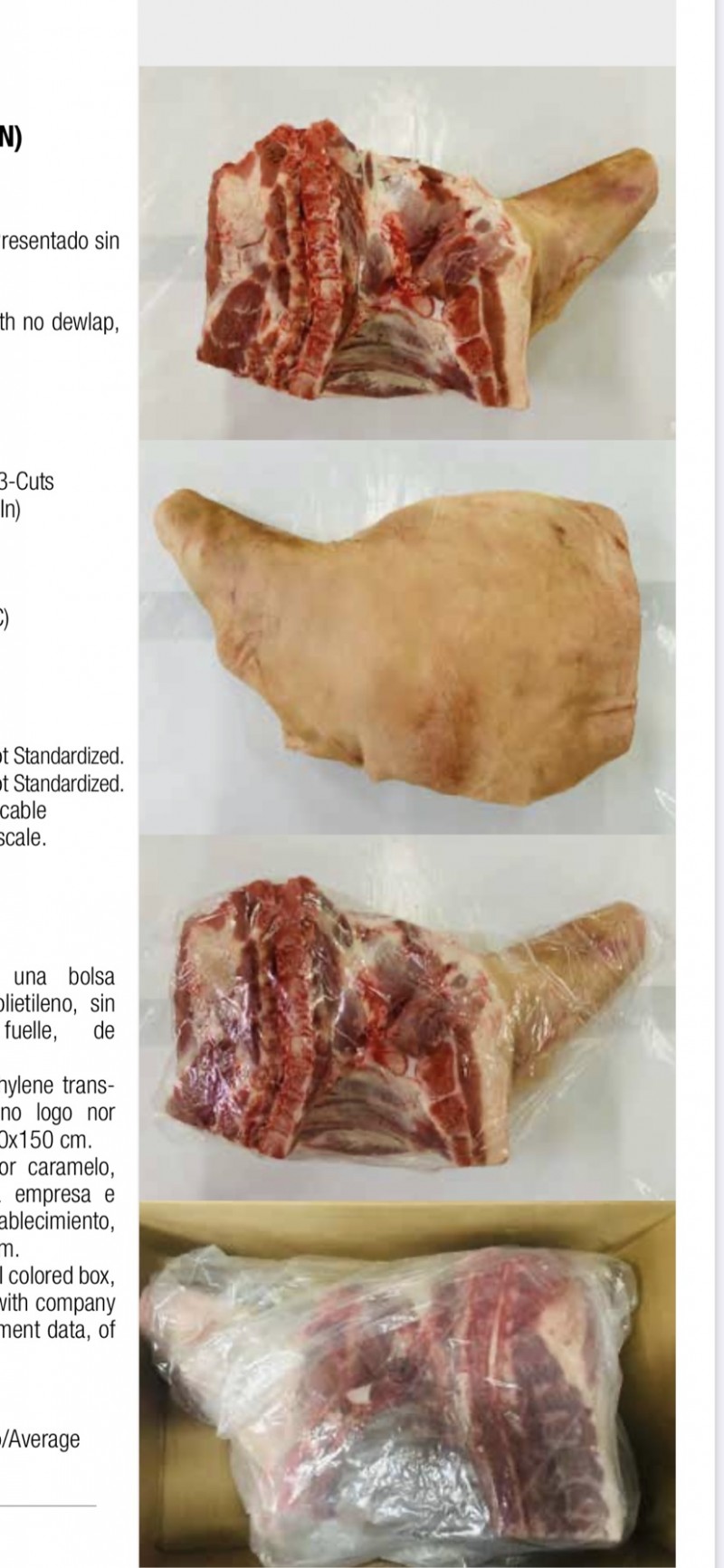 阿根廷猪六分体