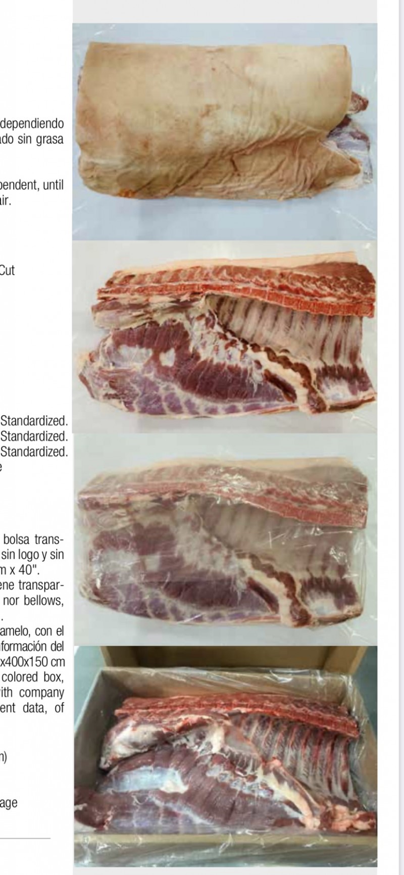 阿根廷猪六分体