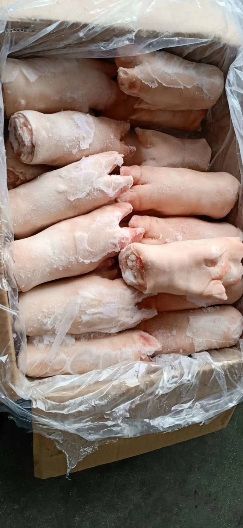 鲜冻一级带筋猪蹄