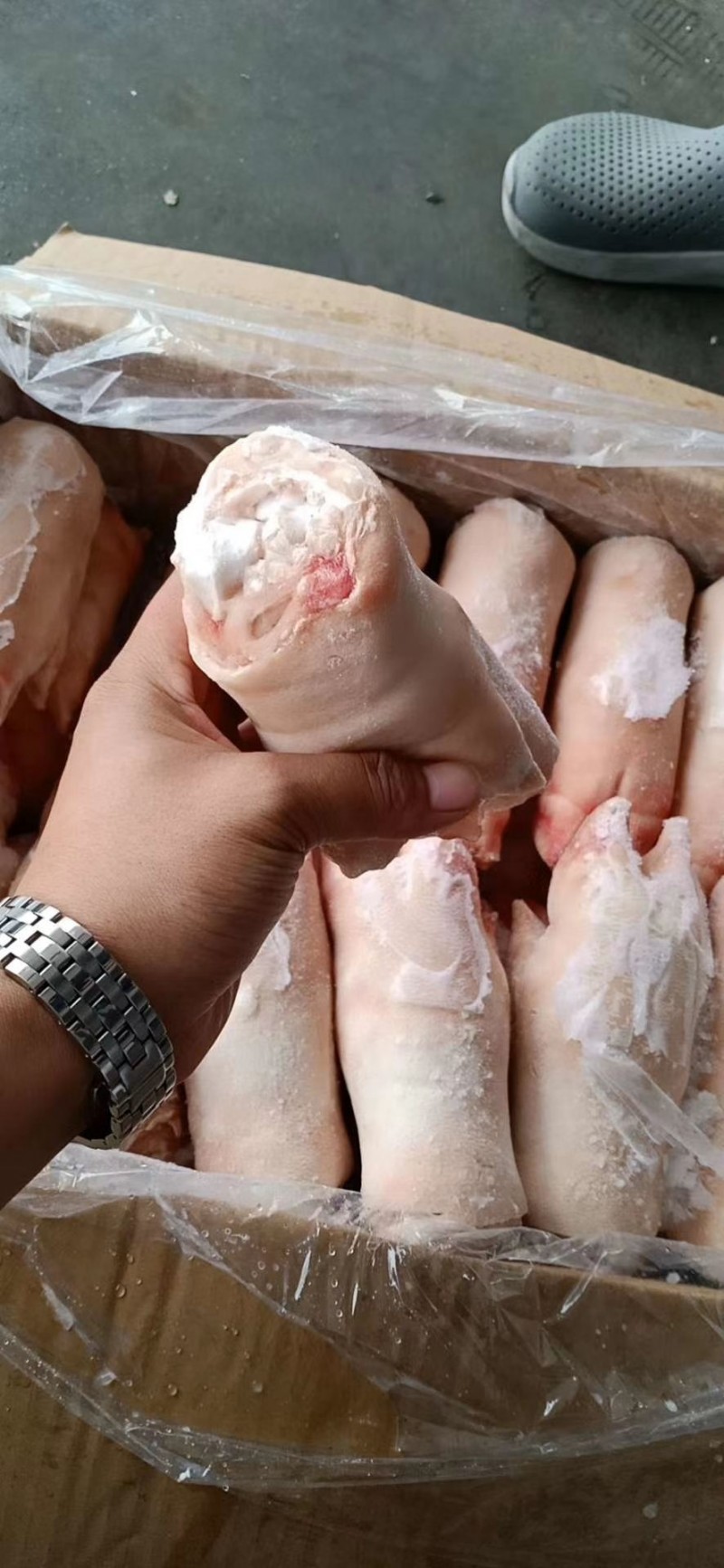 鲜冻一级带筋猪蹄