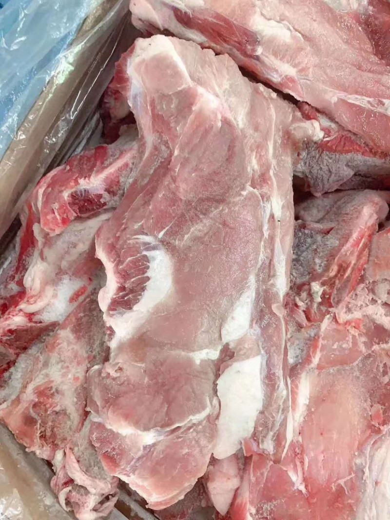 肥猪多肉尾叉骨