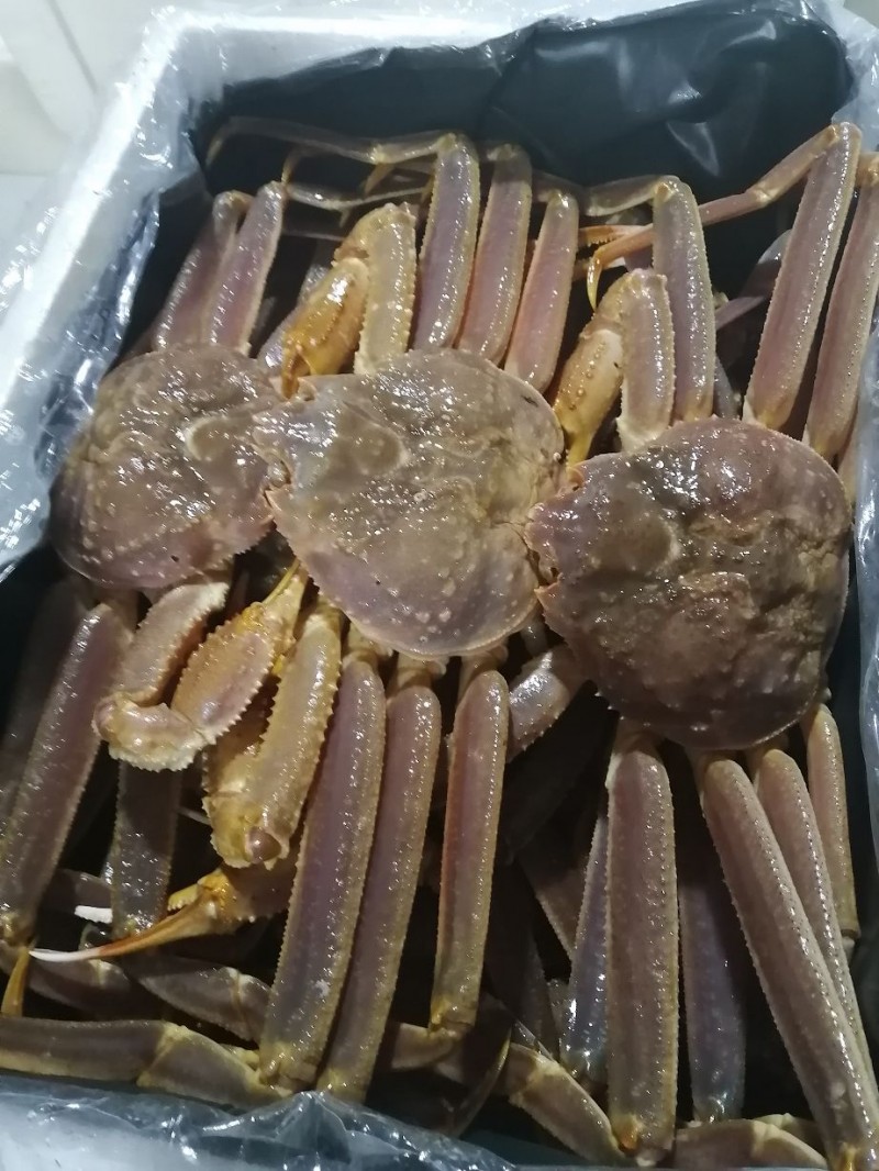 图片展示俄罗斯大板蟹,大老板全腿,残板都有货,全国各地发货,个头大小