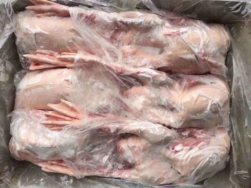 黄河大鹅批发山东济南市黄河大鹅价格_肉交所