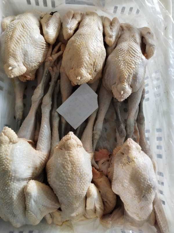 黑腿麻公鸡批发河南商丘市黑腿麻公鸡价格_肉交所