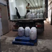 伊犁绵羊肠衣原料