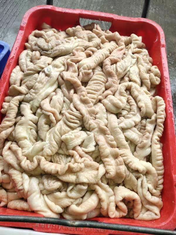 猪大肠批发广东深圳市猪大肠价格_肉交所