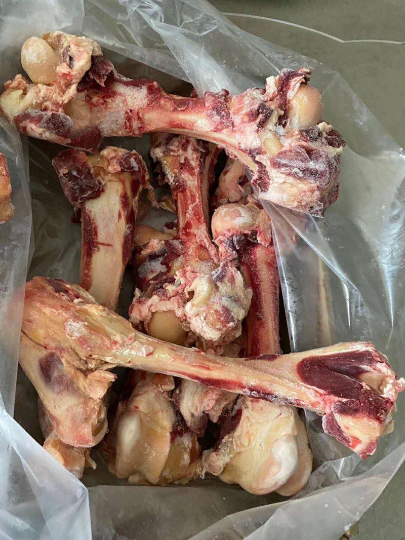 牛腿骨 乌拉圭74厂